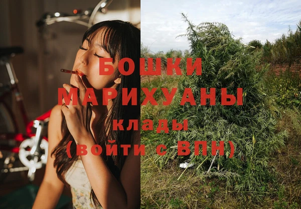 мдпв Навашино