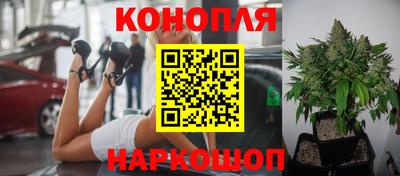 мяу мяу мука Волжск