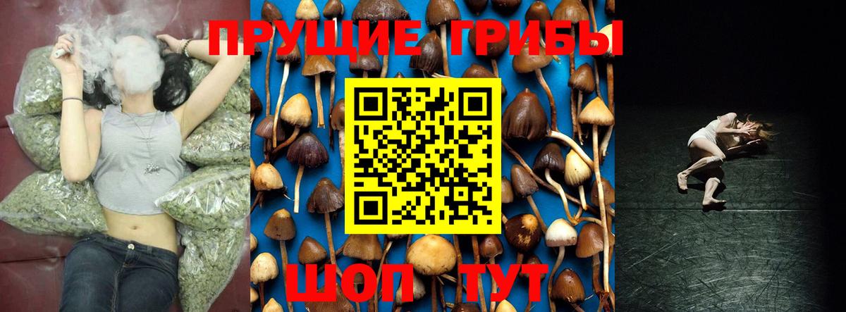Корсаков  где продают   Вход с VPN  Псилоцибиновые грибы мухоморы  Псилоцибиновые грибы прущие грибы 