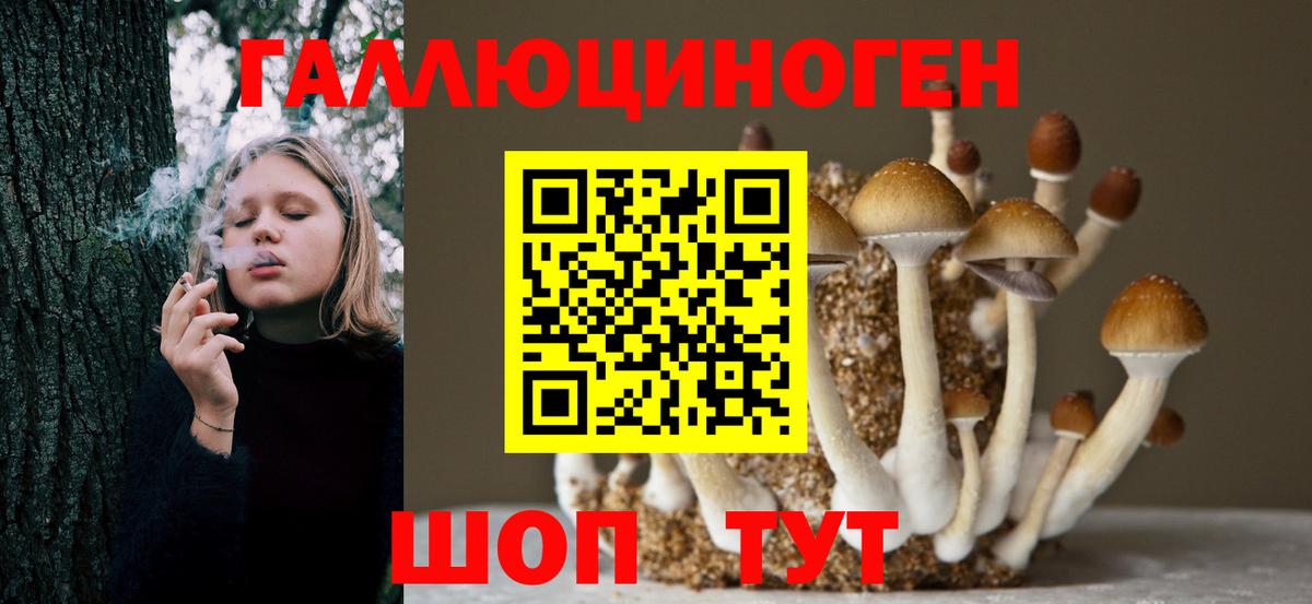ТГК Корсаков