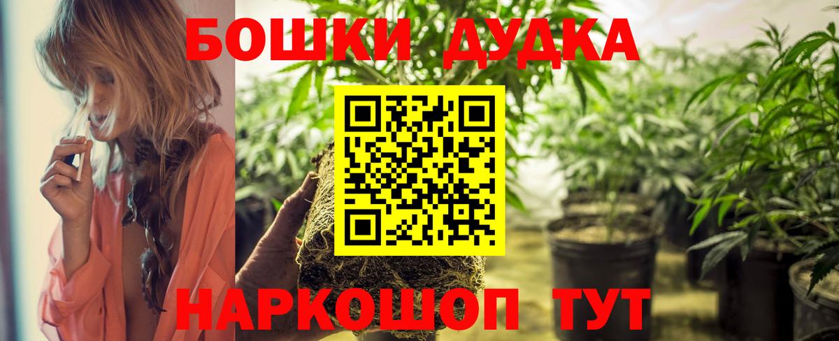 Канабис сатива Корсаков